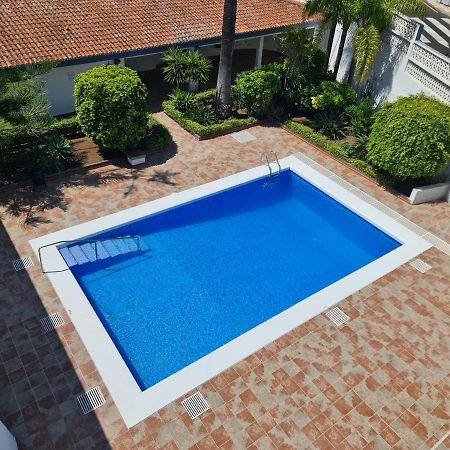Estudio Brillante, Confortable Y Agradable Puerto de la Cruz  Exteriér fotografie