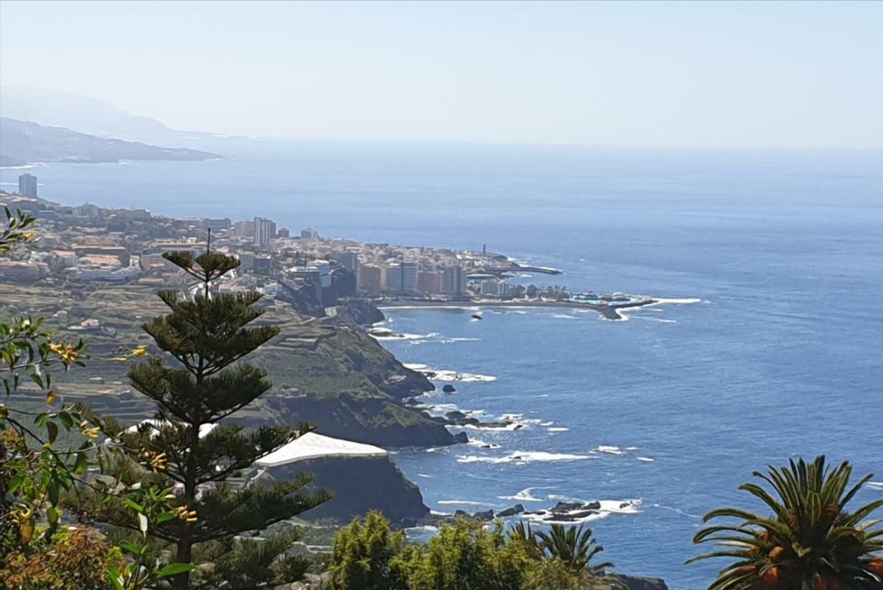 Estudio Brillante, Confortable Y Agradable Puerto de la Cruz  Exteriér fotografie
