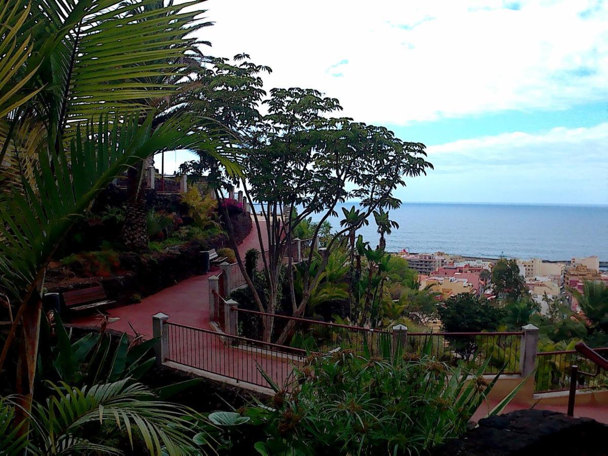 Estudio Brillante, Confortable Y Agradable Puerto de la Cruz  Exteriér fotografie