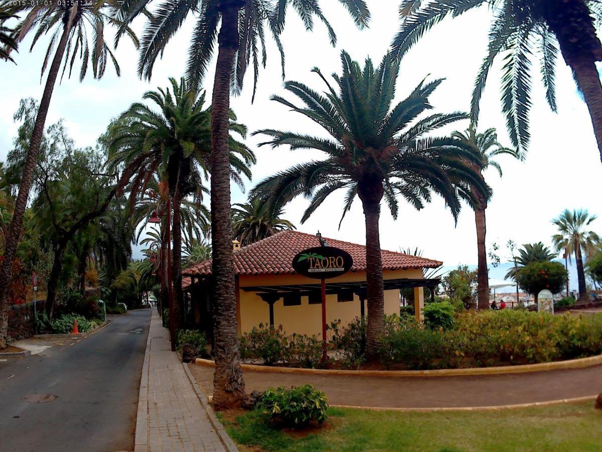 Estudio Brillante, Confortable Y Agradable Puerto de la Cruz  Exteriér fotografie