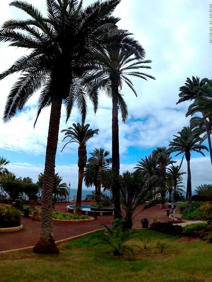 Estudio Brillante, Confortable Y Agradable Puerto de la Cruz  Exteriér fotografie